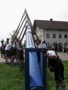 04 Aufstellen Maibaum Bruckmuehl (Erika Spohn).JPG