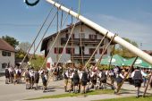 05 Aufstellen Maibaum Grossholzhausen (Wolfgang Kreckl).JPG