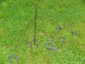 IMG 5295.JPG